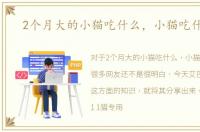 2个月大的小猫吃什么，小猫吃什么好