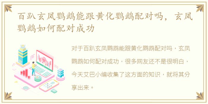 百趴玄凤鹦鹉能跟黄化鹦鹉配对吗，玄凤鹦鹉如何配对成功