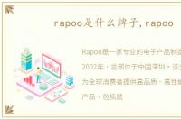 rapoo是什么牌子,rapoo