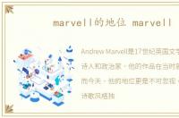 marvell的地位 marvell