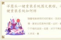 洋葱头一键重装系统图文教程，洋葱头一键重装系统如何样