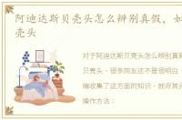 阿迪达斯贝壳头怎么辨别真假，如何鉴别贝壳头