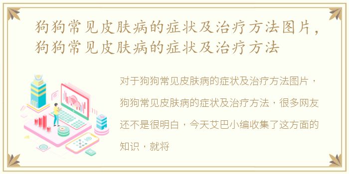 狗狗常见皮肤病的症状及治疗方法图片，狗狗常见皮肤病的症状及治疗方法