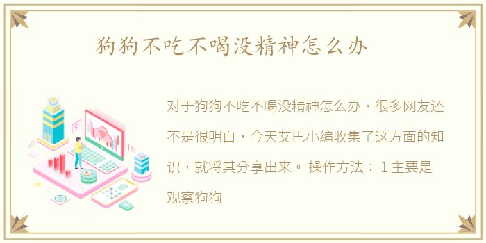 狗狗不吃不喝没精神怎么办
