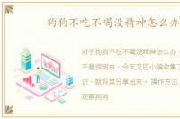 狗狗不吃不喝没精神怎么办