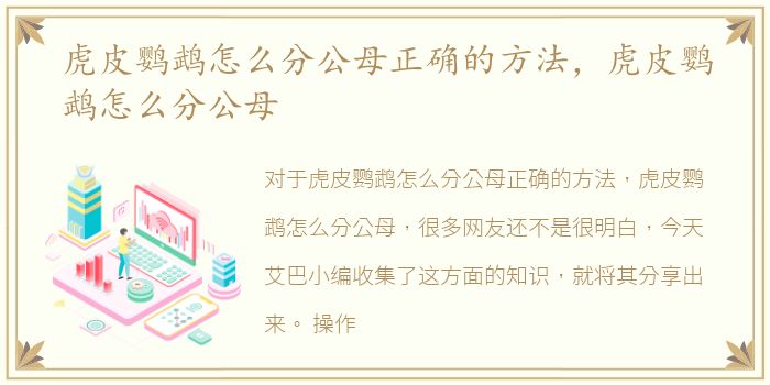 虎皮鹦鹉怎么分公母正确的方法，虎皮鹦鹉怎么分公母