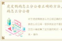 虎皮鹦鹉怎么分公母正确的方法，虎皮鹦鹉怎么分公母