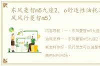 东风菱智m5九座2，o舒适性油耗怎样（东风风行菱智m5）
