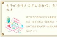 兔子的养殖方法有文章教程，兔子的养殖方法