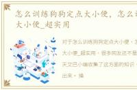 怎么训练狗狗定点大小便，怎么训练狗狗大小便_超实用