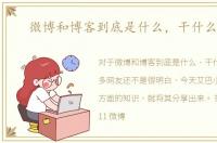 微博和博客到底是什么，干什么用的