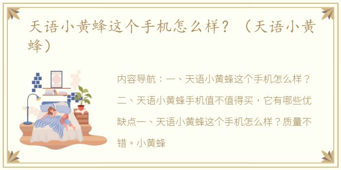 天语小黄蜂这个手机怎么样？（天语小黄蜂）