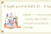 华为p20 pro升级鸿蒙3.0？ 华为p20 pro