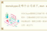 msnskype是哪个公司旗下,msn skype