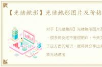 【光绪鲍彤】光绪鲍彤图片及价格，光绪
