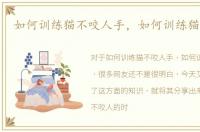 如何训练猫不咬人手，如何训练猫不咬人