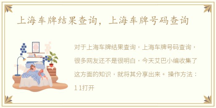 上海车牌结果查询，上海车牌号码查询