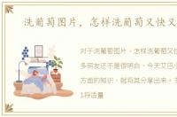 洗葡萄图片，怎样洗葡萄又快又干净