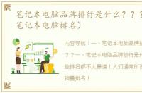 笔记本电脑品牌排行是什么？？？（杂牌笔记本电脑排名）