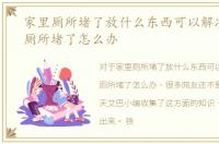家里厕所堵了放什么东西可以解决，家里厕所堵了怎么办