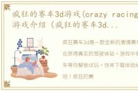 疯狂的赛车3d游戏(crazy racing car 3d)游戏介绍（疯狂的赛车3d游戏(crazy racing car 3d)）