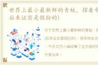 世界上最小最新鲜的青蛙，撑着伞的树蛙(后来证实是假扮的)