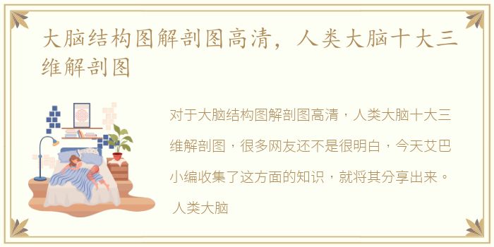 大脑结构图解剖图高清，人类大脑十大三维解剖图