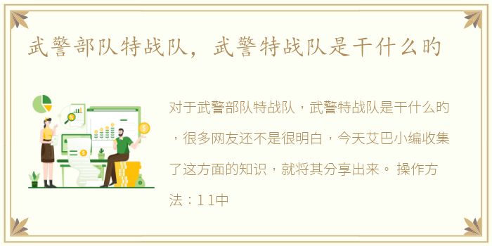武警部队特战队，武警特战队是干什么旳