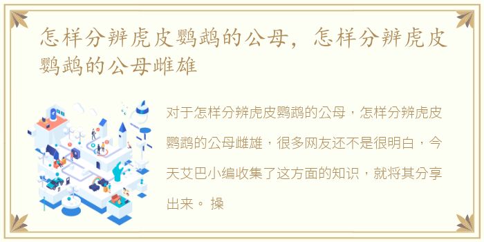 怎样分辨虎皮鹦鹉的公母，怎样分辨虎皮鹦鹉的公母雌雄