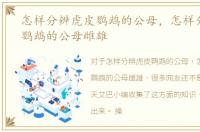 怎样分辨虎皮鹦鹉的公母，怎样分辨虎皮鹦鹉的公母雌雄