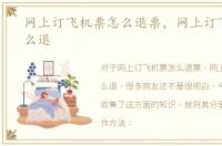 网上订飞机票怎么退票，网上订飞机票怎么退