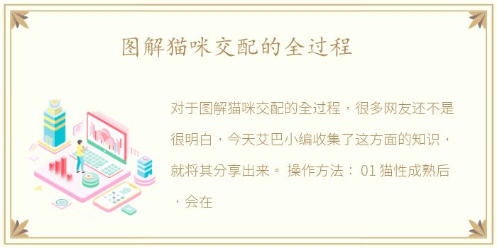 图解猫咪交配的全过程