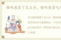 猫咪感冒了怎么办，猫咪感冒吃什么药