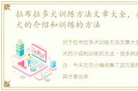 拉布拉多犬训练方法文章大全，拉布拉多犬的介绍和训练的方法