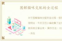 图解猫咪交配的全过程