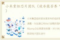 小米重组芯片团队（放水能否养“大鱼”?）