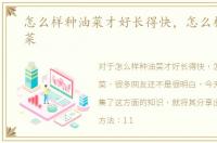 怎么样种油菜才好长得快，怎么样种小油菜