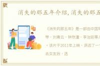 消失的那五年介绍,消失的那五年