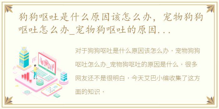 狗狗呕吐是什么原因该怎么办，宠物狗狗呕吐怎么办_宠物狗呕吐的原因是什么