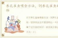 养孔雀鱼喂食方法，饲养孔雀鱼的五种食物