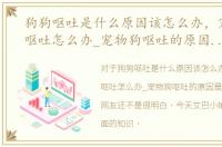 狗狗呕吐是什么原因该怎么办，宠物狗狗呕吐怎么办_宠物狗呕吐的原因是什么