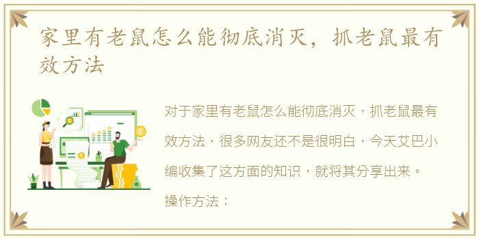 家里有老鼠怎么能彻底消灭，抓老鼠最有效方法