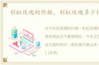 彩虹玫瑰的价格，彩虹玫瑰多少钱一支