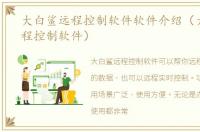 大白鲨远程控制软件软件介绍（大白鲨远程控制软件）