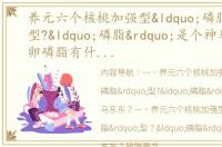 养元六个核桃加强型“磷脂”型?“磷脂”是个神马东东？（卵磷脂有什么作用）