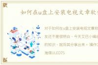 如何在u盘上安装电视文章软件