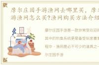 摩尔庄园手游渔网去哪里买，摩尔庄园手游渔网怎么买?渔网购买方法介绍