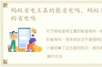 蚂蚁省电王真的能省电吗，蚂蚁省电王真的省电吗