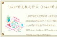 Thief的复数是什么（thief的复数）
