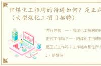 阳煤化工招聘的待遇如何？是正式工作吗？（大型煤化工项目招聘）